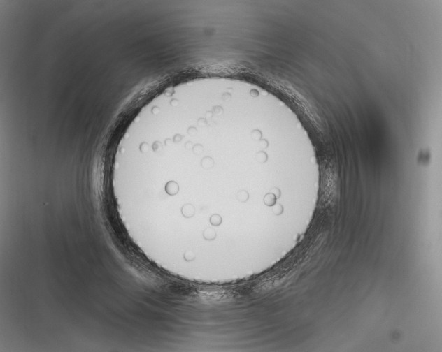 X0000116320686201001131004