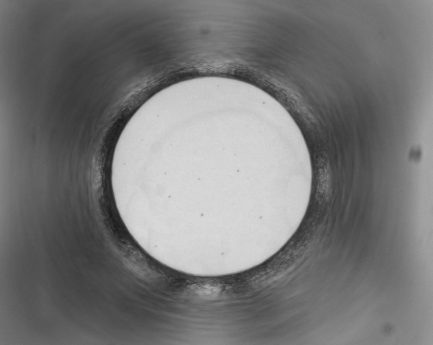 X0000116320687201001131004