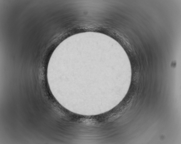 X0000116320689201001131004