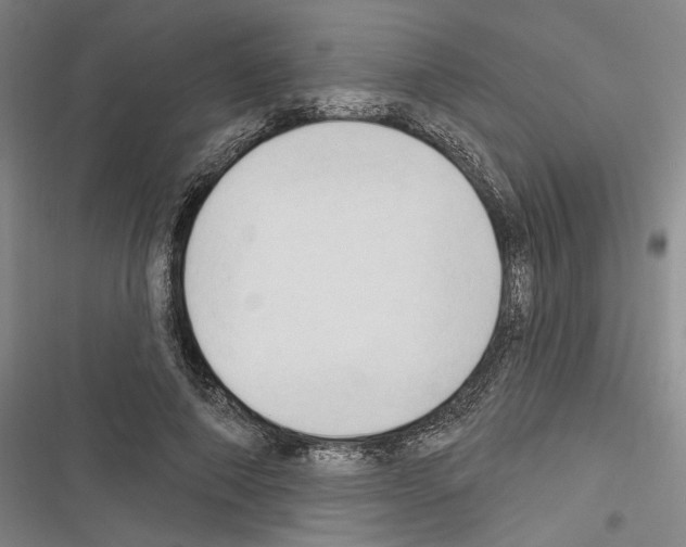 X0000116320690201001131004