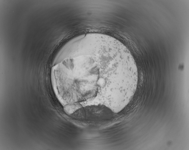 X0000116320691201001131004