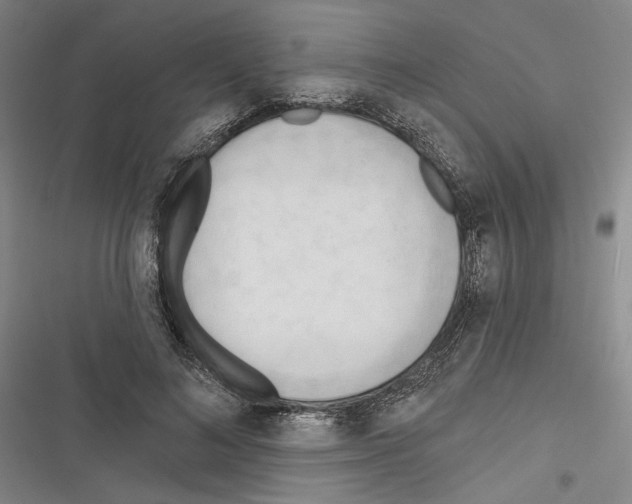 X0000116320692201001131004