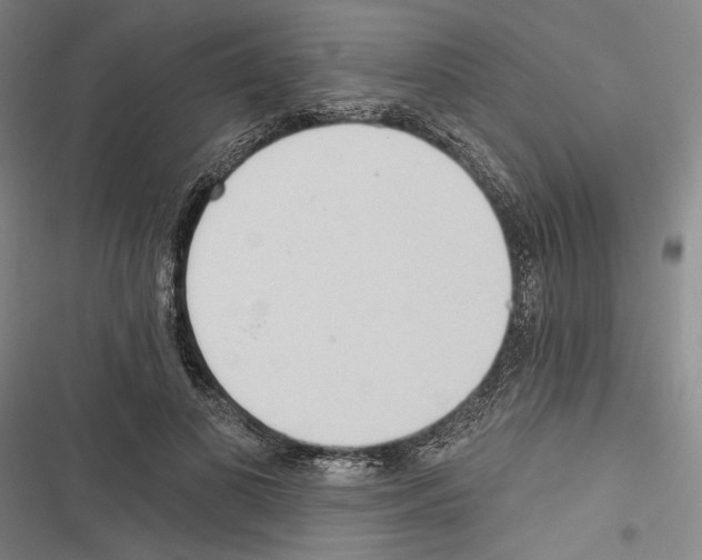 X0000116320693201001131004