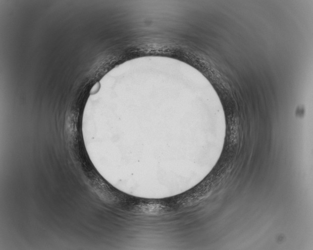 X0000116320695201001131004