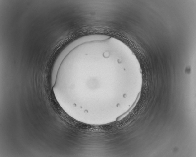 X0000116320696201001131004