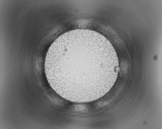 X0000116320698201001131004