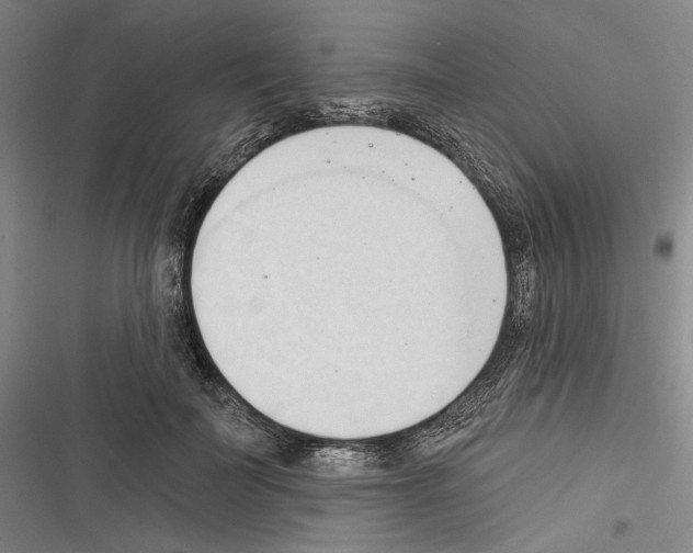 X0000116320699201001131004