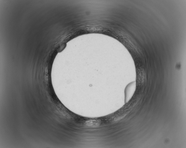 X0000116320700201001131004