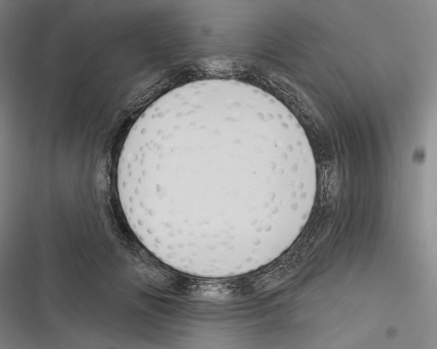 X0000116320702201001131003