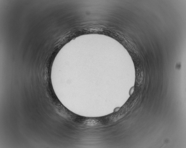 X0000116320704201001131003