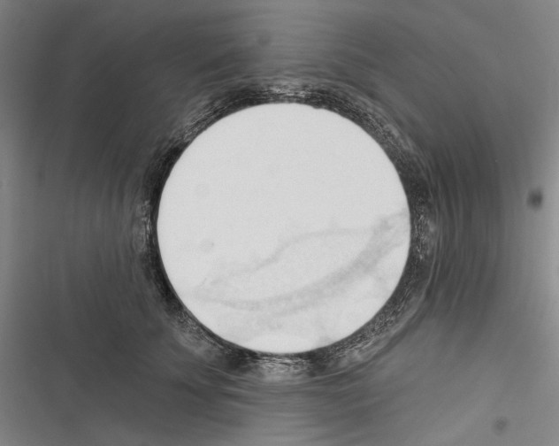 X0000116320707201001131003