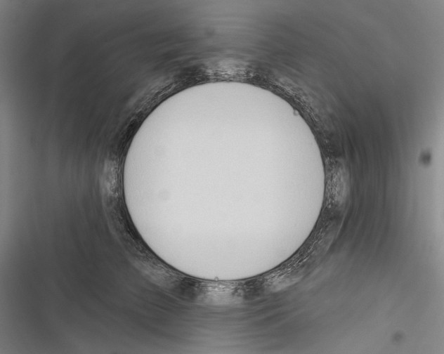 X0000116320709201001131003