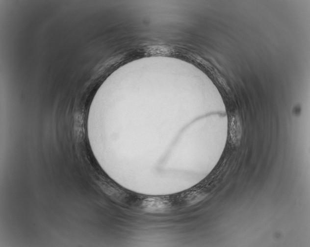 X0000116320714201001131003