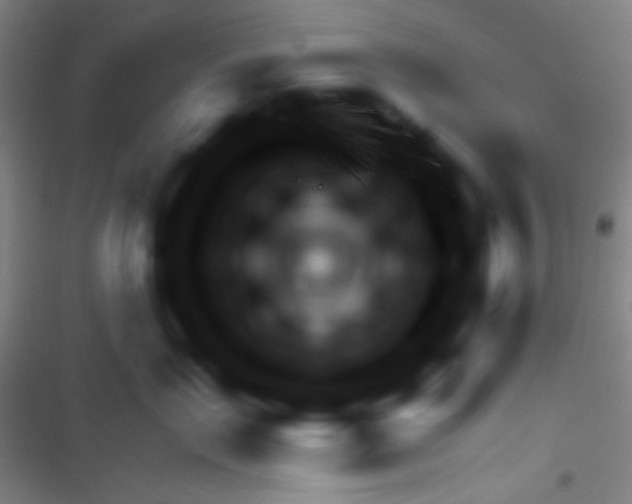 X0000116320717201001131003