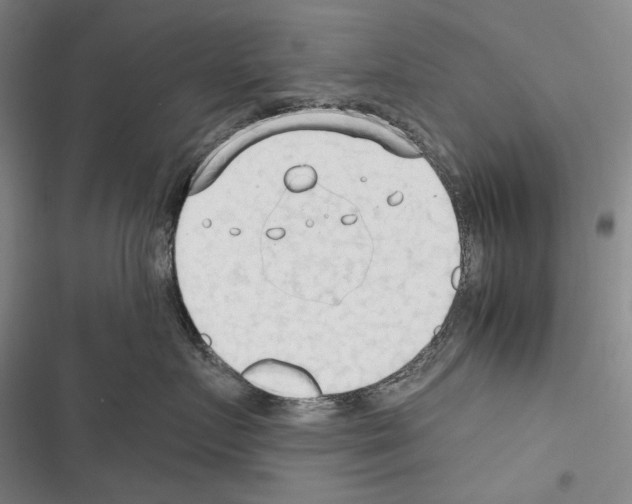 X0000116320719201001131003