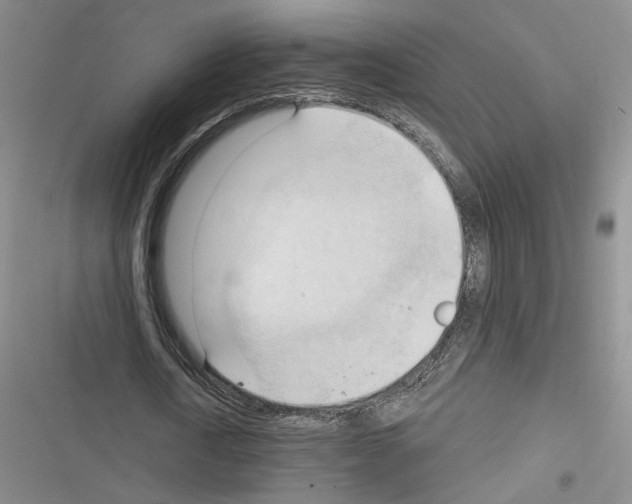 X0000116320722201001131003