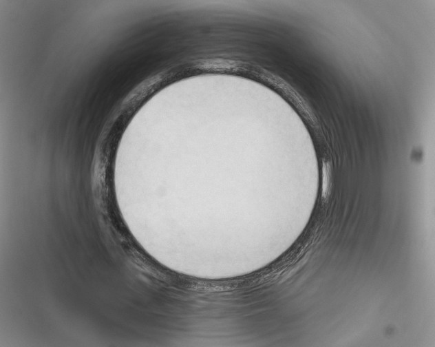 X0000116320723201001131003