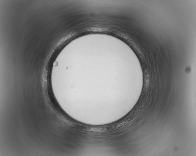 X0000116320727201001131003