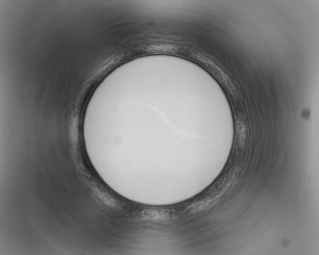 X0000116320729201001131003