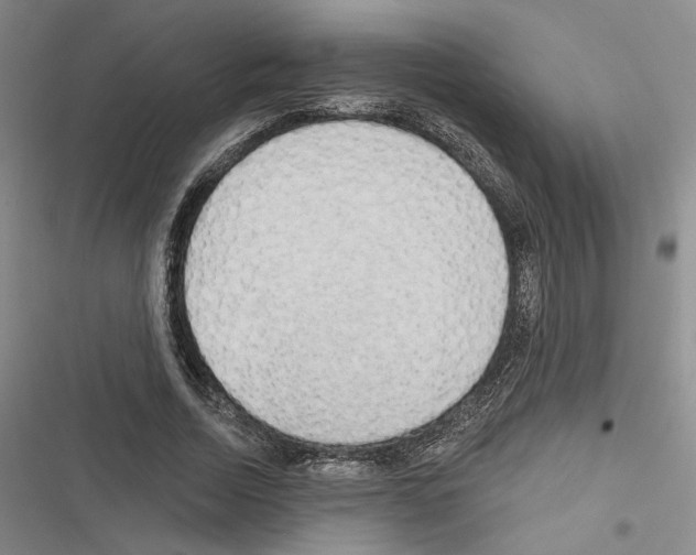 X0000116320730201001131003