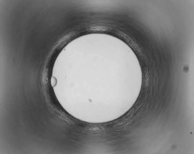 X0000116320731201001131003