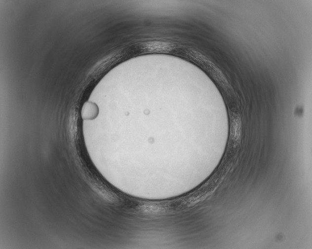 X0000116320733201001131003