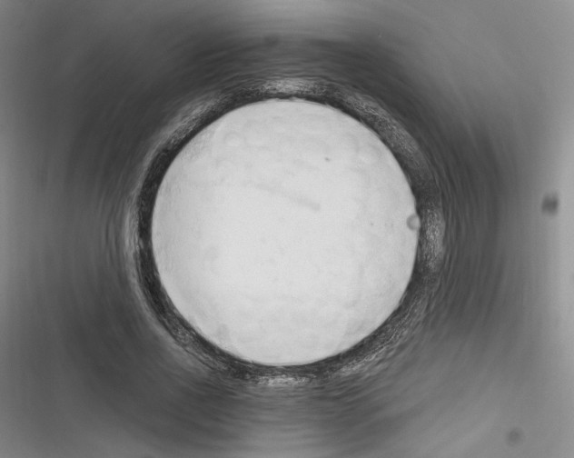 X0000116320734201001131003