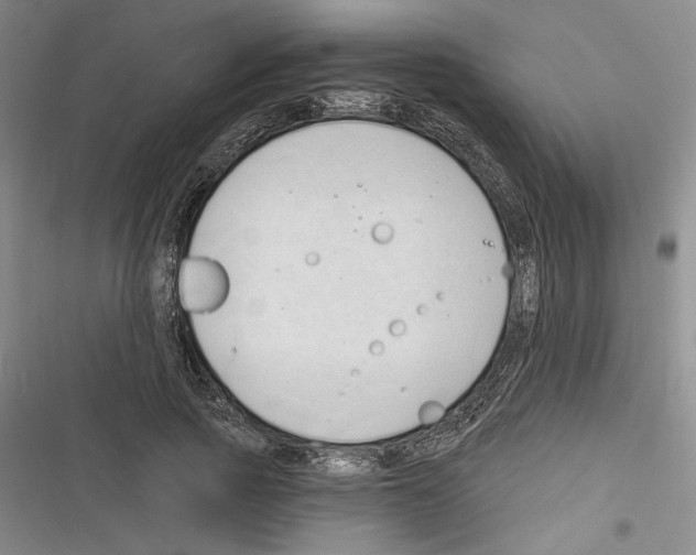 X0000116320737201001131003