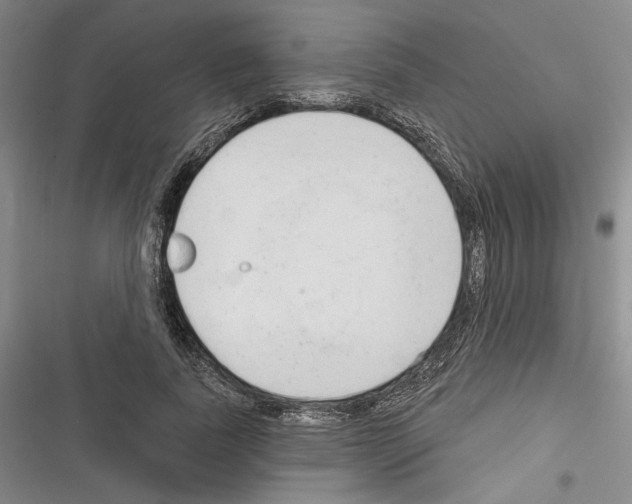 X0000116320739201001131003