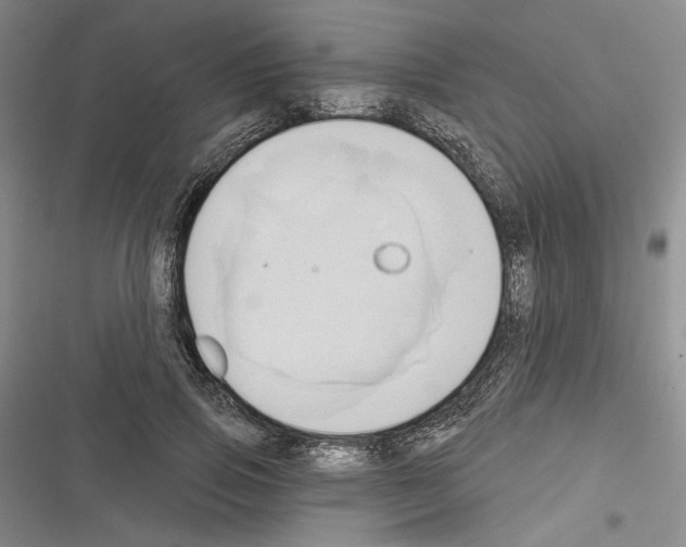 X0000116320741201001131003