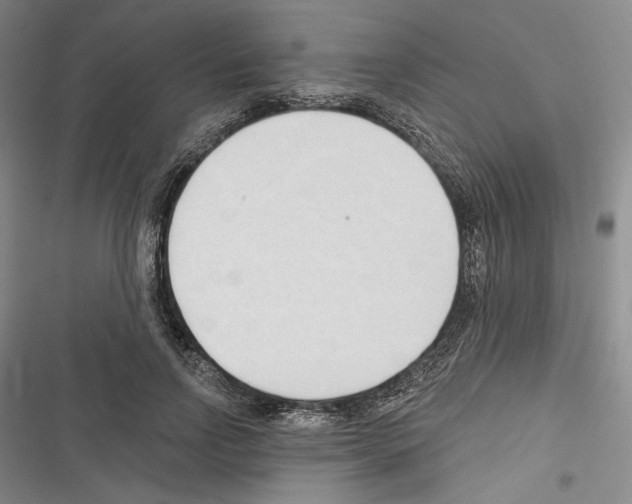 X0000116320742201001131003