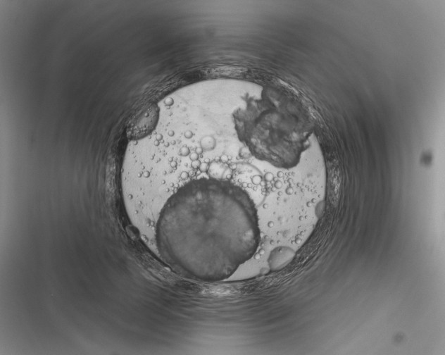 X0000116320745201001131003