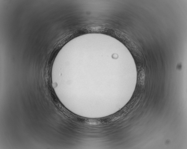 X0000116320746201001131003