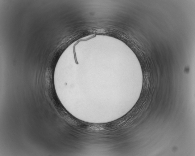 X0000116320747201001131003