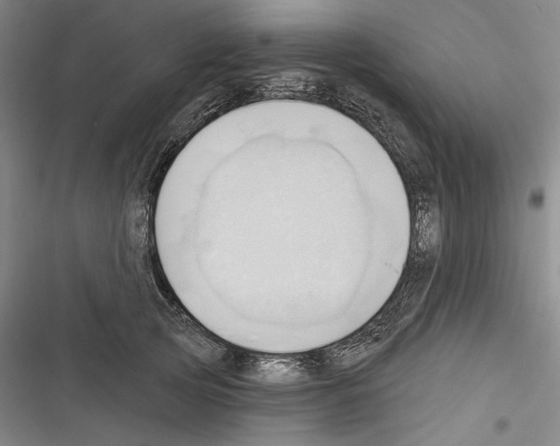 X0000116320753201001131003