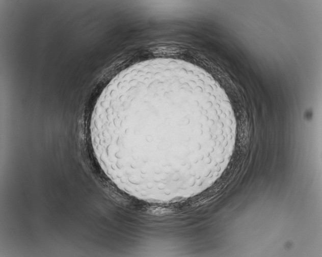 X0000116320755201001131003