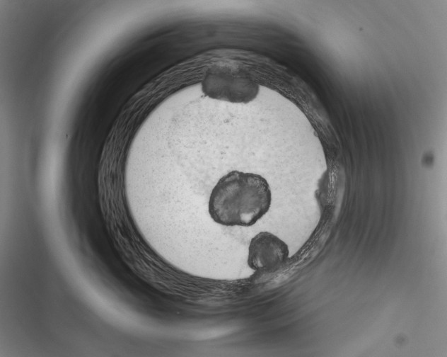 X0000116320765201001131003