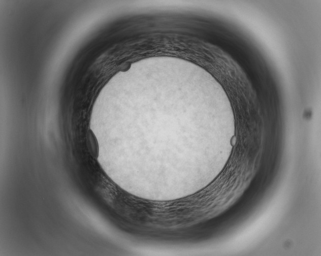 X0000116320766201001131003