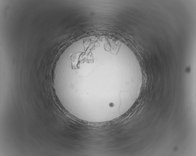 X0000116320769201001131003