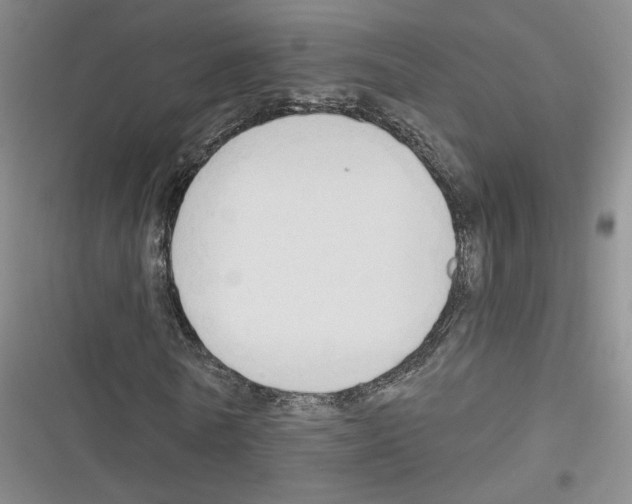 X0000116320770201001131003