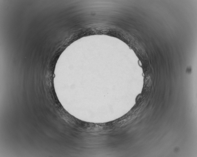 X0000116320772201001131003