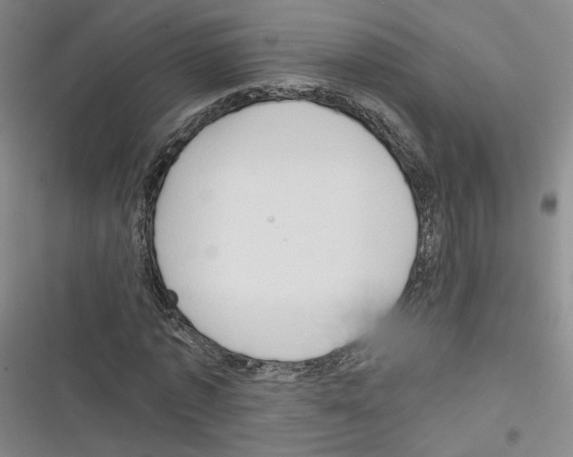 X0000116320773201001131003