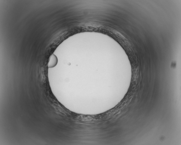 X0000116320774201001131003