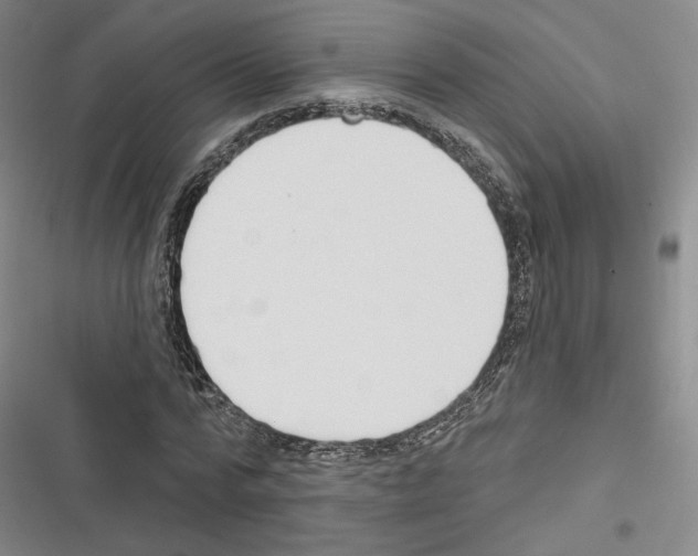 X0000116320776201001131002