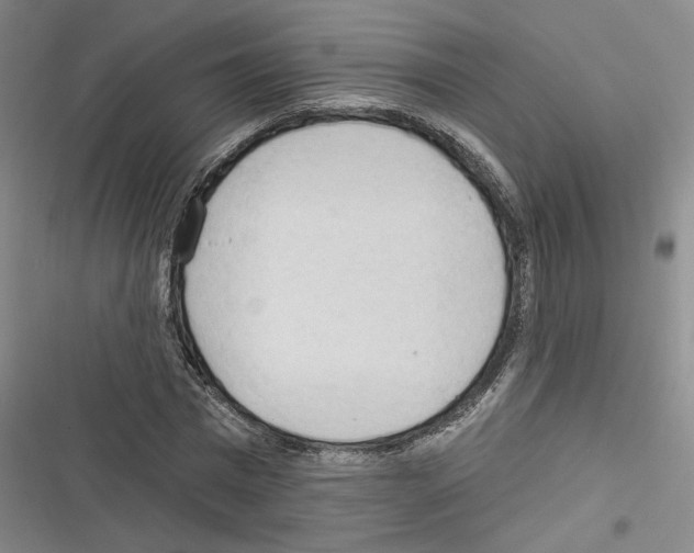 X0000116320777201001131002