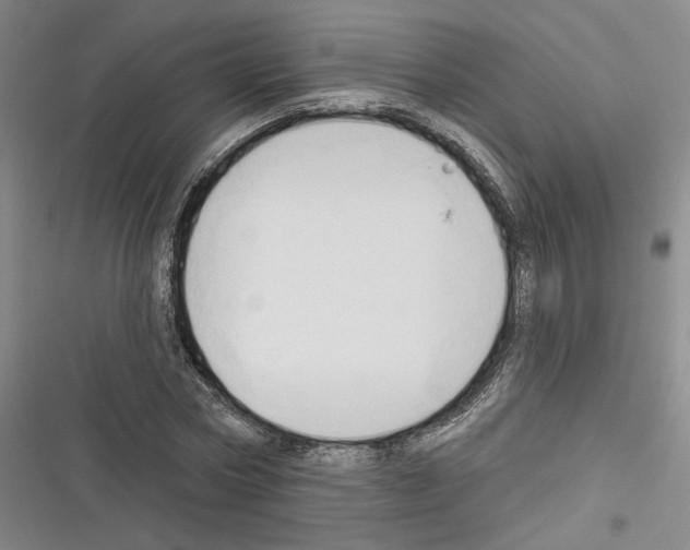 X0000116320778201001131002