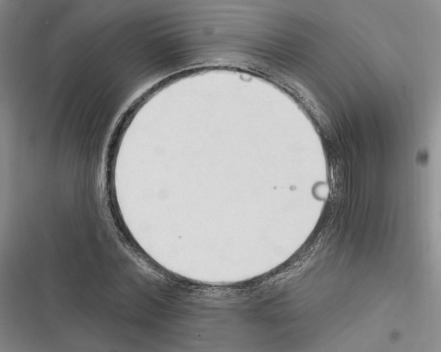 X0000116320780201001131002