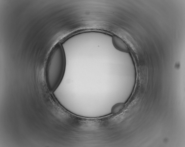 X0000116320781201001131002