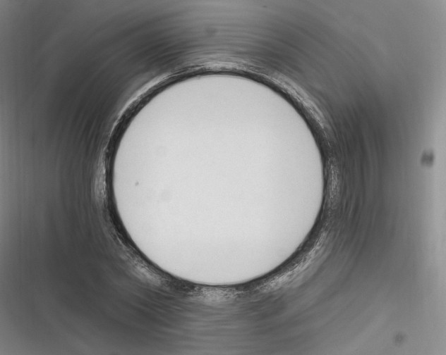 X0000116320782201001131002