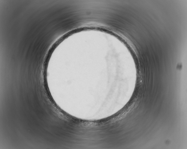 X0000116320783201001131002